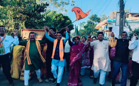 বিহারের জয়ে বামুটিয়ায় বিজেপির বিজয় মিছিল