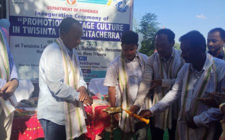 হেজামারার সীতার ছড়াতে মাছের পোনা ছাড়লো মৎস্য দপ্তর