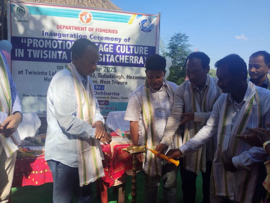 হেজামারার সীতার ছড়াতে মাছের পোনা ছাড়লো মৎস্য দপ্তর