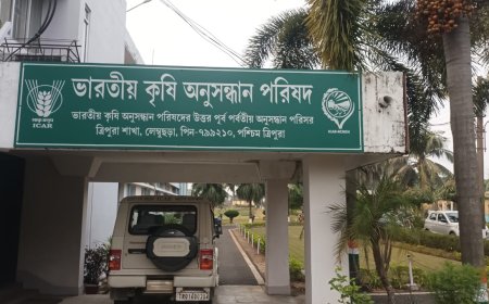 আইসিএআরে মহিলা কর্মীকে হয়রানির অভিযোগ, অভিযোগে চক্রান্তের গন্ধ‌ !