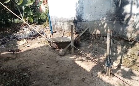 বামুটিয়া বিদ্যুৎ অফিস সংলগ্ন গৃহস্থের গোয়াল থেকে ২ টি গাভী চুরি করল চোরেরা