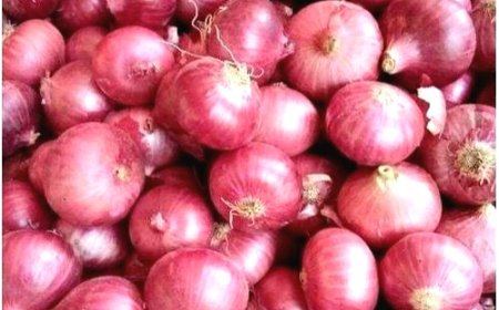 ভারত থেকে পেঁয়াজ আমদানি বন্ধ করতে গিয়ে বাংলাদেশের পেঁয়াজের মূল্যে আগুন