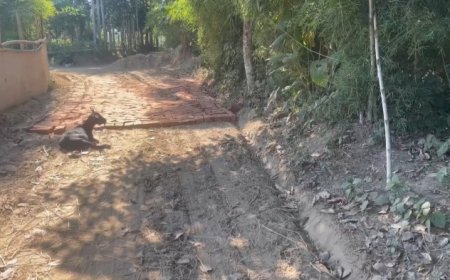 হেজামারা ব্লকের মালিয়ামুড়ায় রাস্তা নির্মাণ কাজ বন্ধ, ক্ষুব্ধ গ্রামবাসী