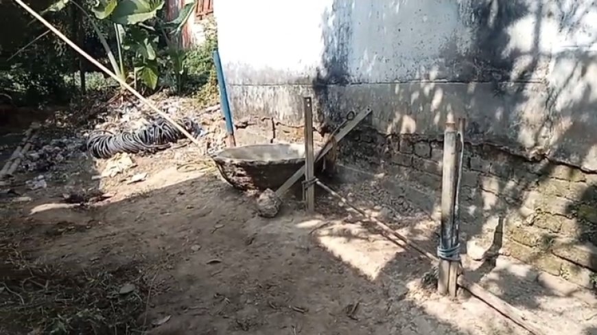 বামুটিয়া বিদ্যুৎ অফিস সংলগ্ন গৃহস্থের গোয়াল থেকে ২ টি গাভী চুরি করল চোরেরা