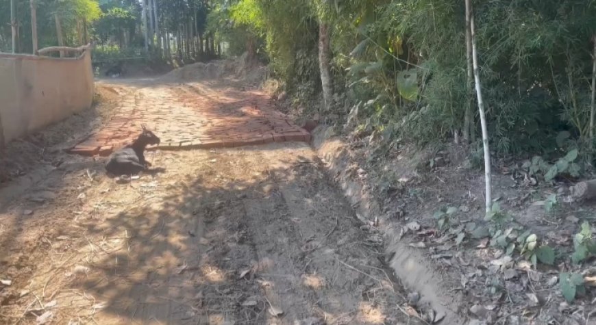 হেজামারা ব্লকের মালিয়ামুড়ায় রাস্তা নির্মাণ কাজ বন্ধ, ক্ষুব্ধ গ্রামবাসী