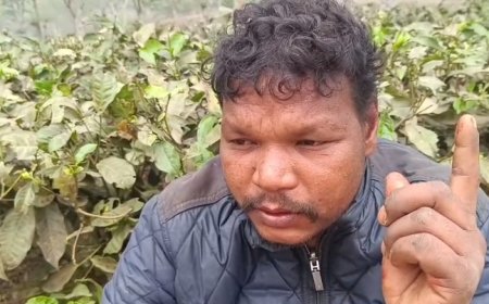 দুর্গা বাড়িতে বেসরকারি কোম্পানির গাড়ির ব্যাটারি চুরি করতে গিয়ে আটক অভিযুক্ত