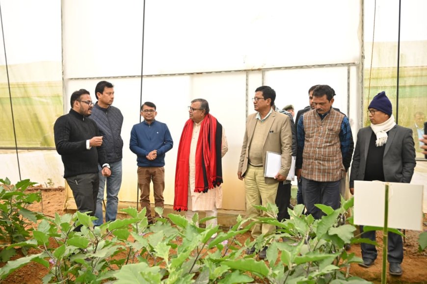 গ্রামীণ অর্থনীতিকে শক্তিশালী করতে বাজার পরিকাঠামোয় জোর দিয়েছে সরকার: কৃষি মন্ত্রী