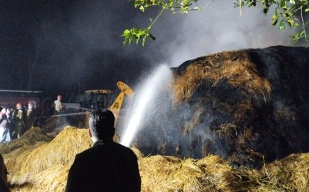 বামুটিয়ার জলিলপুরে খড়ের গাদায় আগুন, ৮ ঘণ্টার প্রচেষ্টায় পরিস্থিতি নিয়ন্ত্রণে