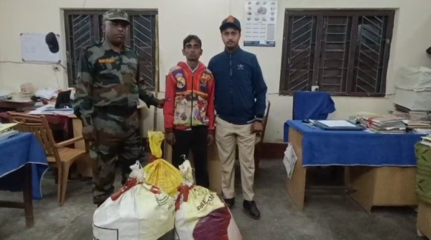 অবৈধ গাঁজা সমেত এক অভিযুক্তকে গ্রেফতার করলো সিধাই থানার পুলিশ