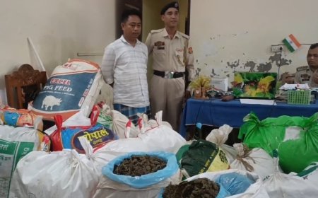 ২৭৭ কিলো গাঁজা সমেত ১ অভিযুক্তকে গ্রেফতার করলো সিধাই থানার পুলিশ