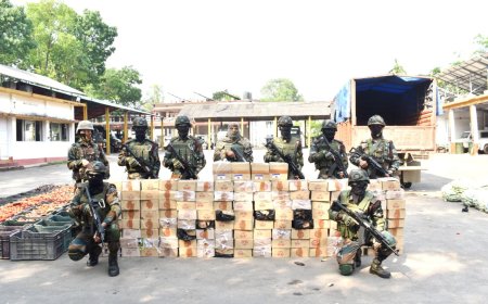 তারানগর  থেকে প্রচুর অবৈধ নেশা সামগ্রী আটক করে আসাম রাইফেল